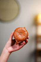 Nan Gua 150cc - Yixing Handmade Teapot 江苏宜兴