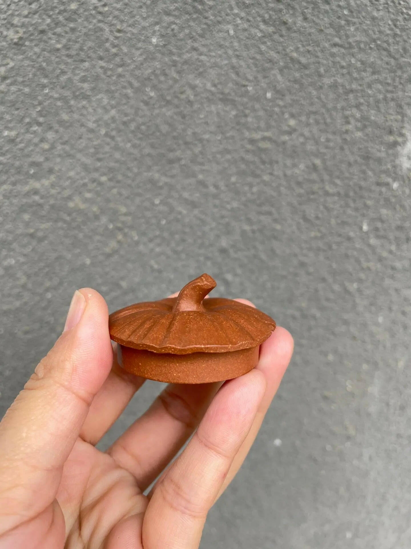 Nan Gua 150cc - Yixing Handmade Teapot 江苏宜兴
