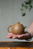 Zhu Fu 120cc - Yixing Handmade Teapot 江苏宜兴
