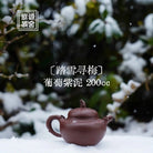 Ta Xue Xun Mei 200cc - Yixing Handmade Teapot 江苏宜兴
