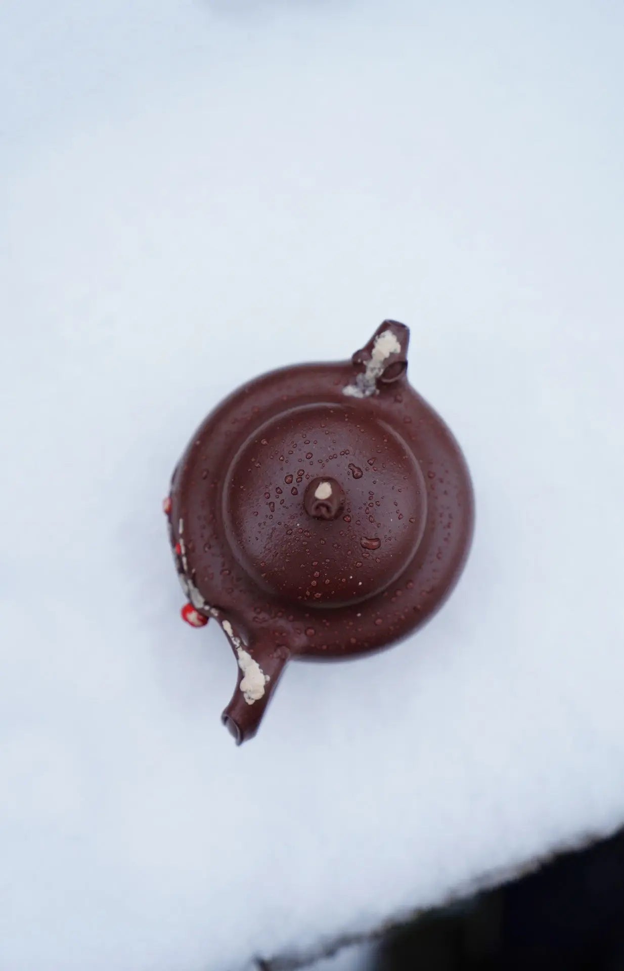 Ta Xue Xun Mei 200cc - Yixing Handmade Teapot 江苏宜兴