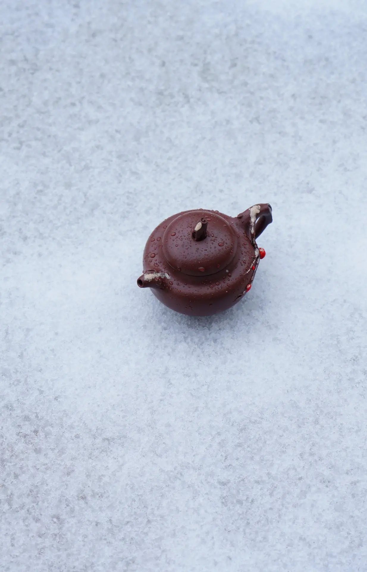 Ta Xue Xun Mei 200cc - Yixing Handmade Teapot 江苏宜兴