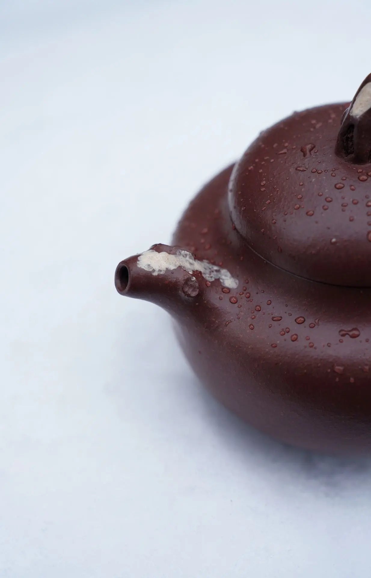 Ta Xue Xun Mei 200cc - Yixing Handmade Teapot 江苏宜兴