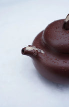 Ta Xue Xun Mei 200cc - Yixing Handmade Teapot 江苏宜兴