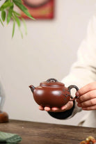 Ting Song Hu 220cc - Yixing Handmade Teapot 江苏宜兴