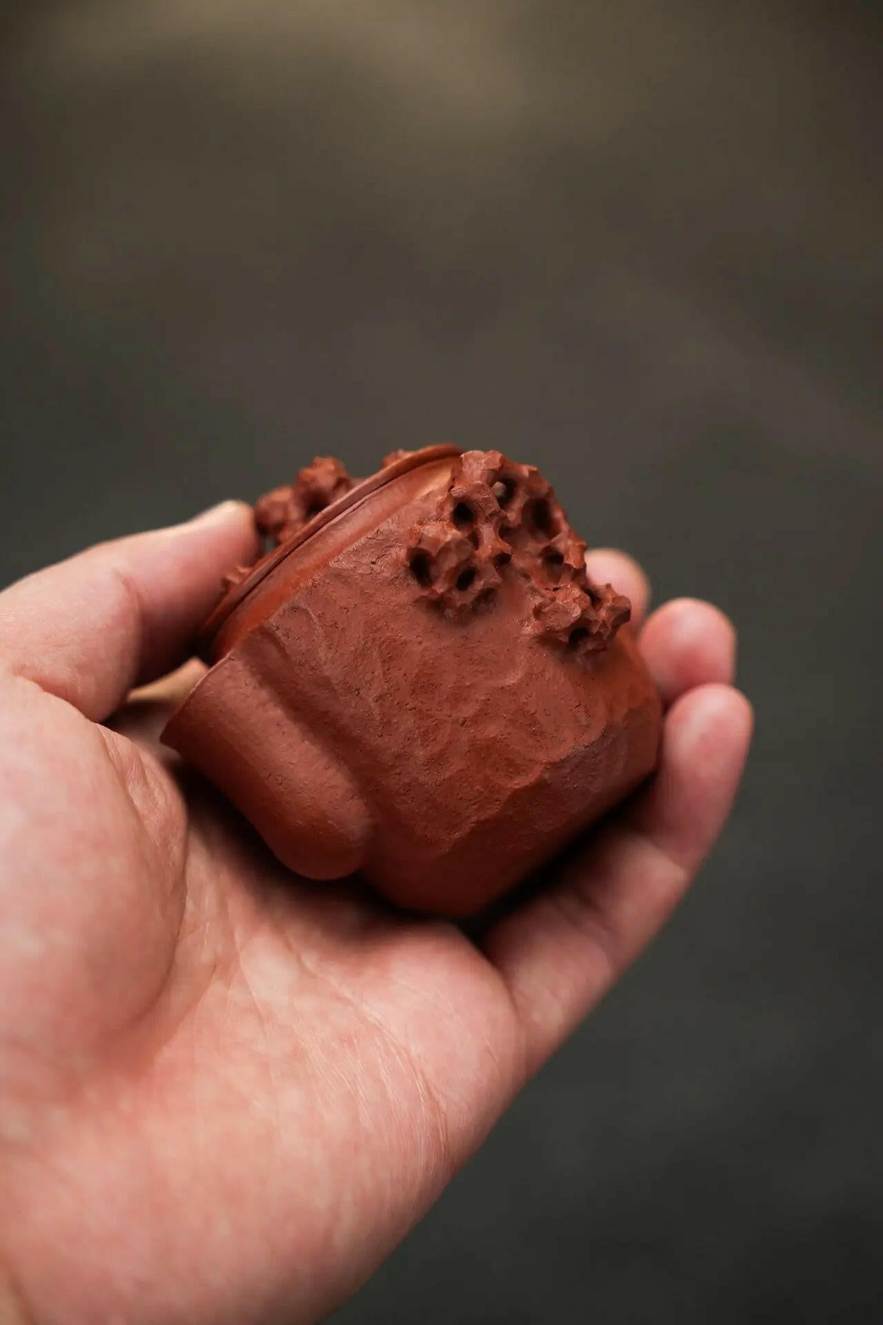 Tai Hu Shi Bao Ping 100cc - Yixing Handmade Teapot 江苏宜兴