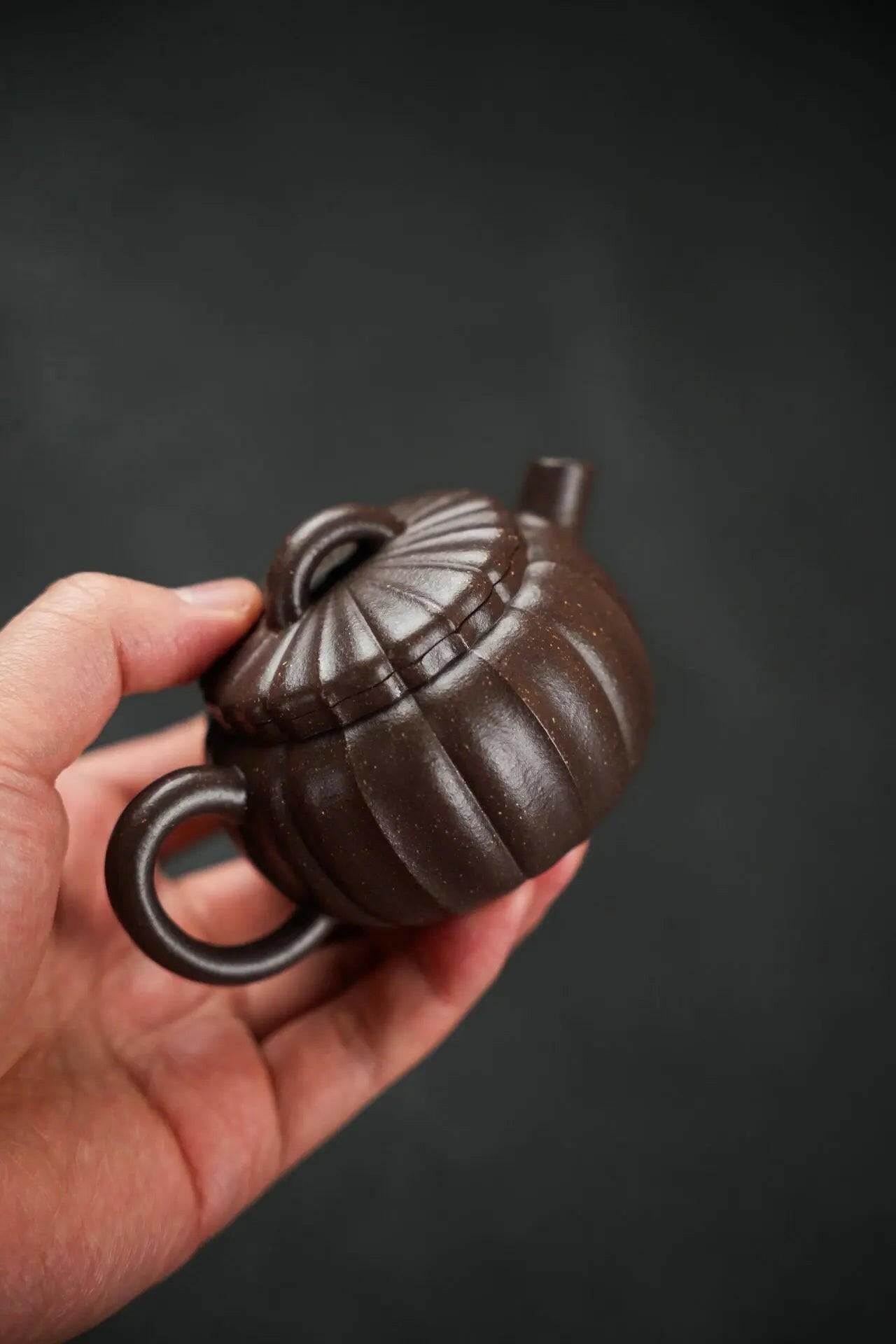 Pu 130cc - Yixing Handmade Teapot 江苏宜兴
