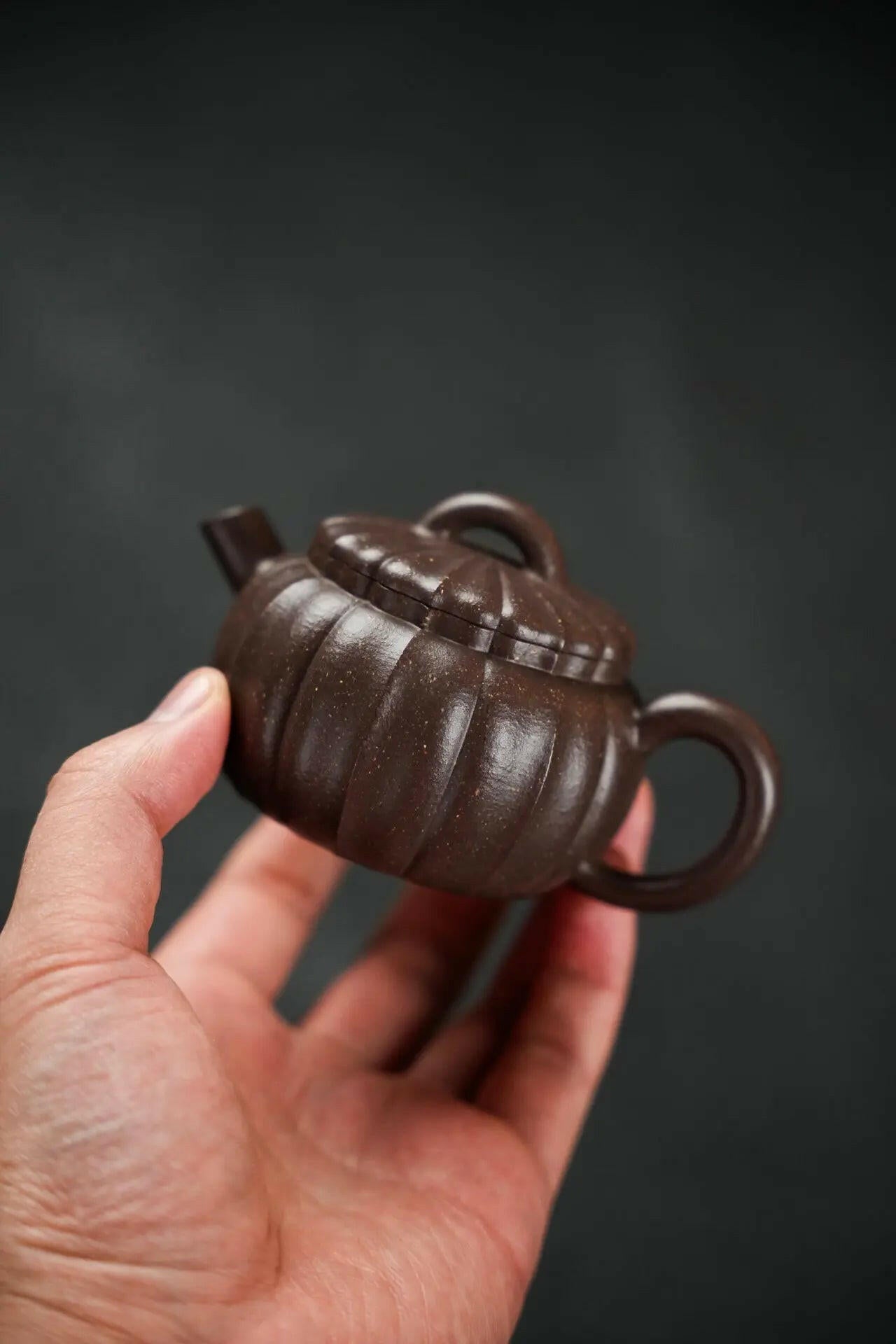 Pu 130cc - Yixing Handmade Teapot 江苏宜兴