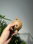 Shui Ping 100cc - Yixing Handmade Teapot 江苏宜兴
