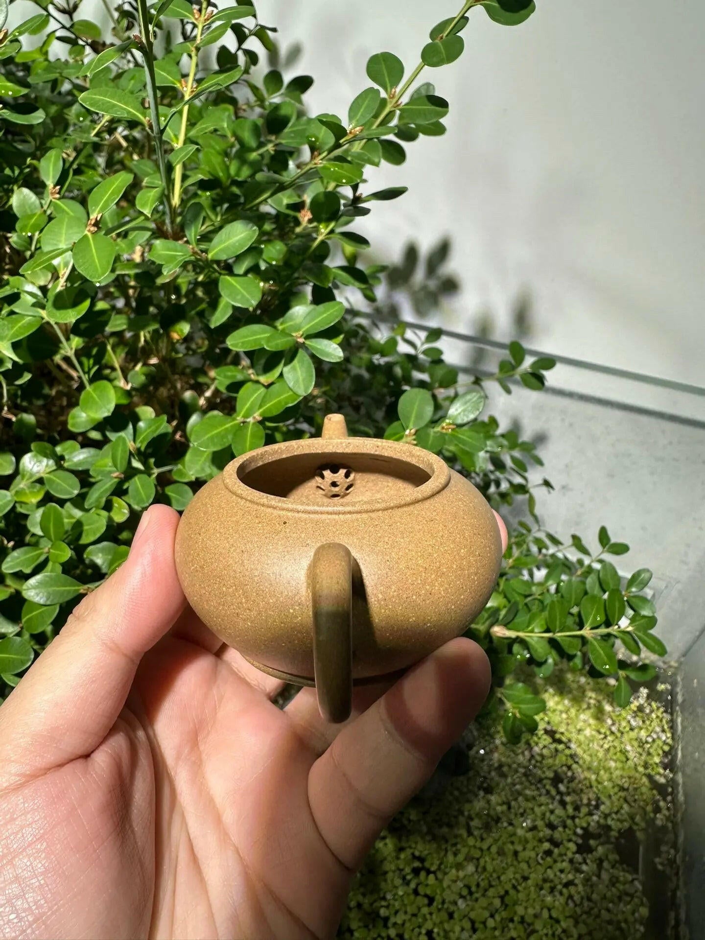 Shui Ping 100cc - Yixing Handmade Teapot 江苏宜兴