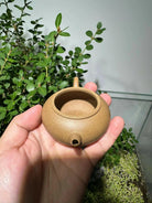 Shui Ping 100cc - Yixing Handmade Teapot 江苏宜兴