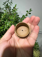 Shui Ping 100cc - Yixing Handmade Teapot 江苏宜兴