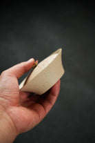 Tao Hua Nuo 100cc - Yixing Handmade Gaiwan 江苏宜兴