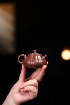 Nan Gua 90cc - Yixing Handmade Teapot 江苏宜兴