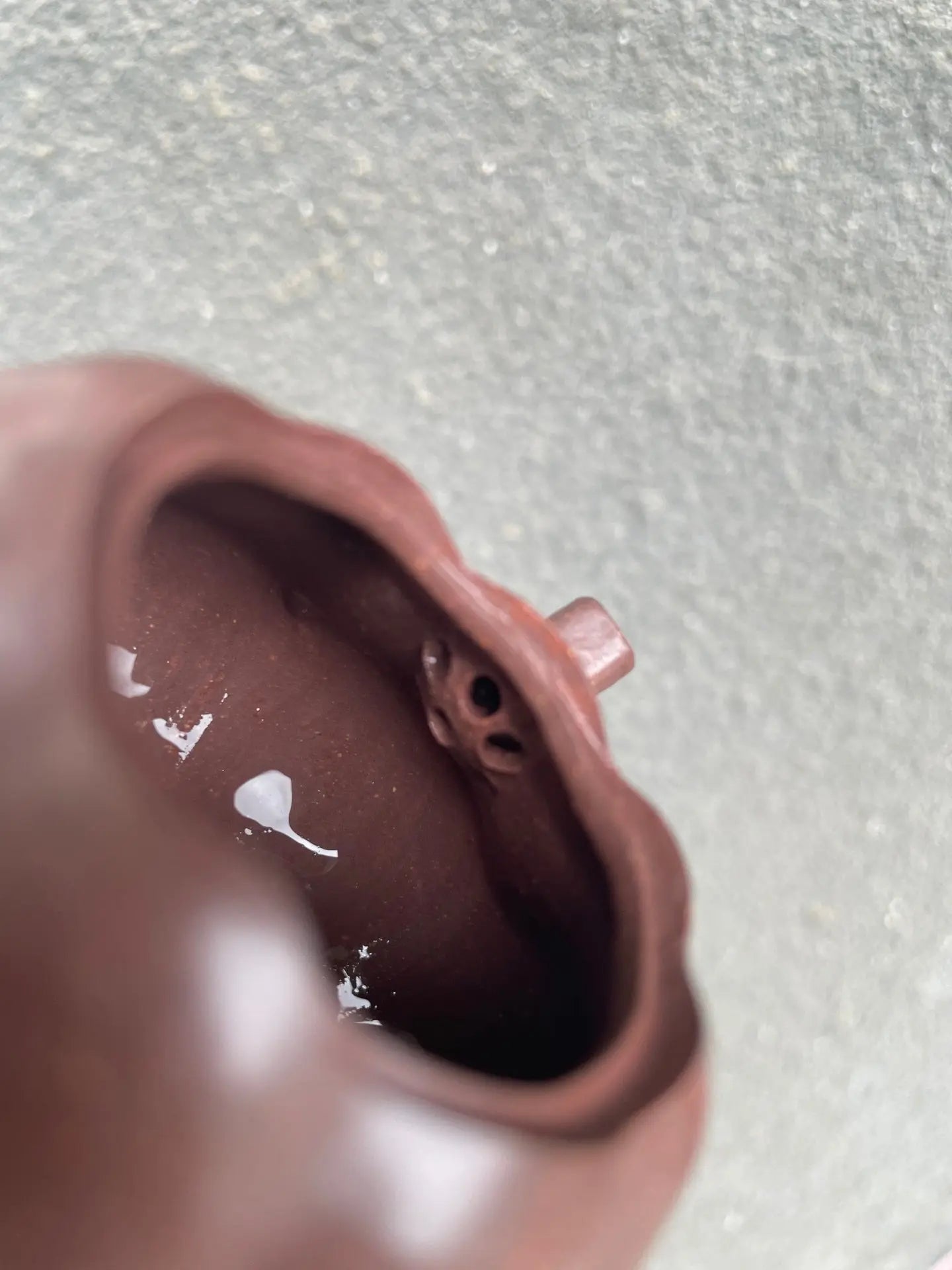 Nan Gua 90cc - Yixing Handmade Teapot 江苏宜兴