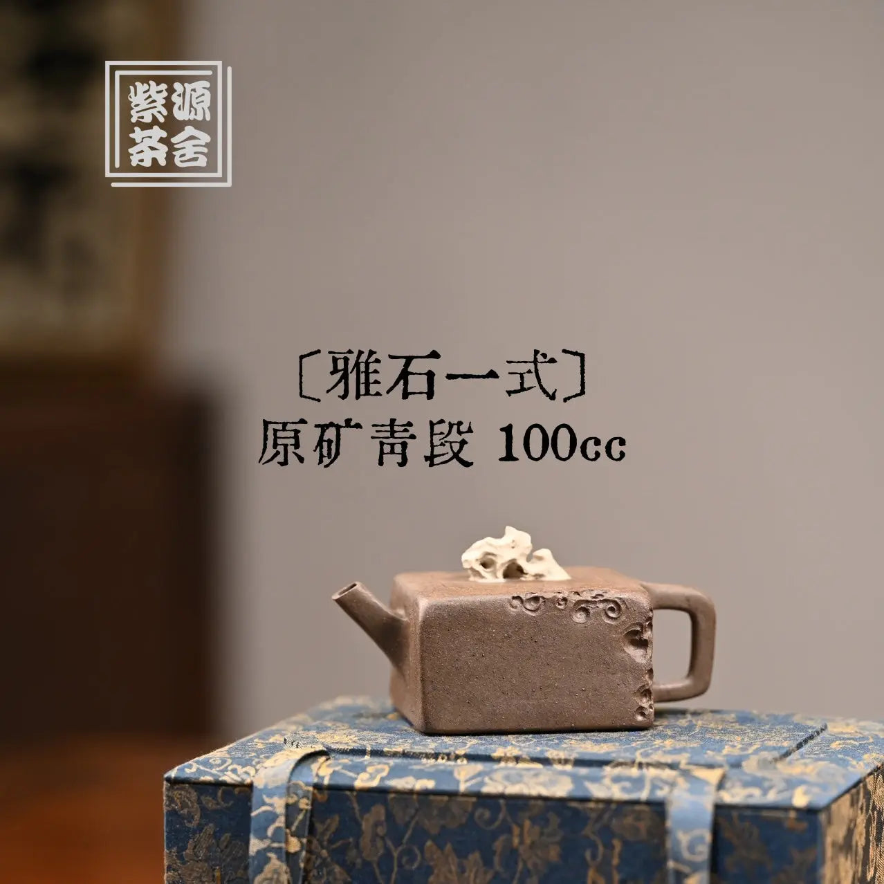 Ya Shi Yi Shi 100cc - Yixing Handmade Teapot 江苏宜兴