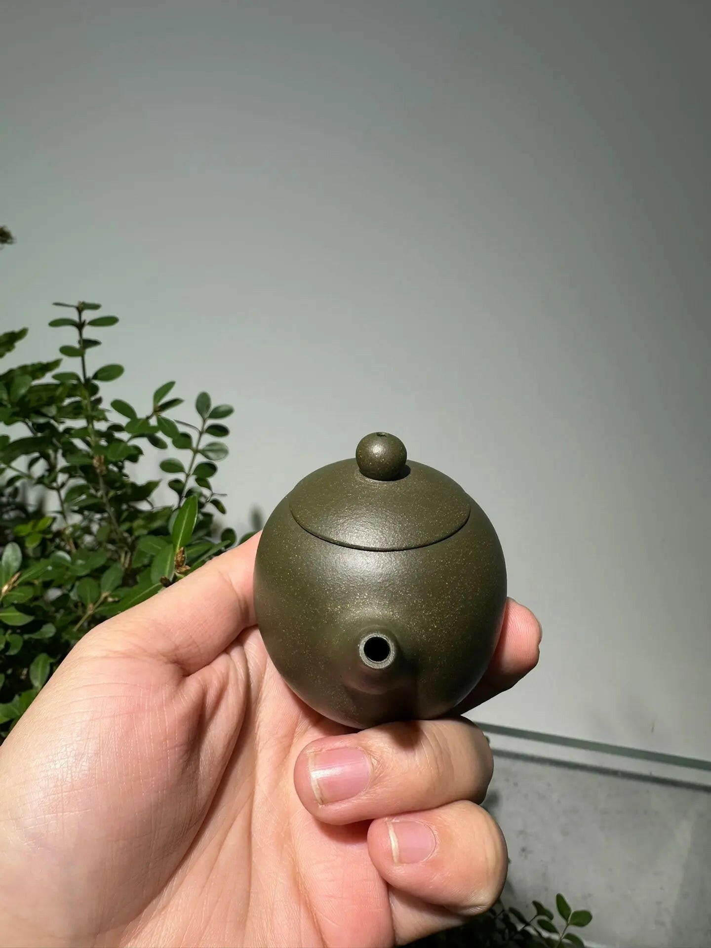 Long Dan 90cc - Yixing Handmade Teapot 江苏宜兴