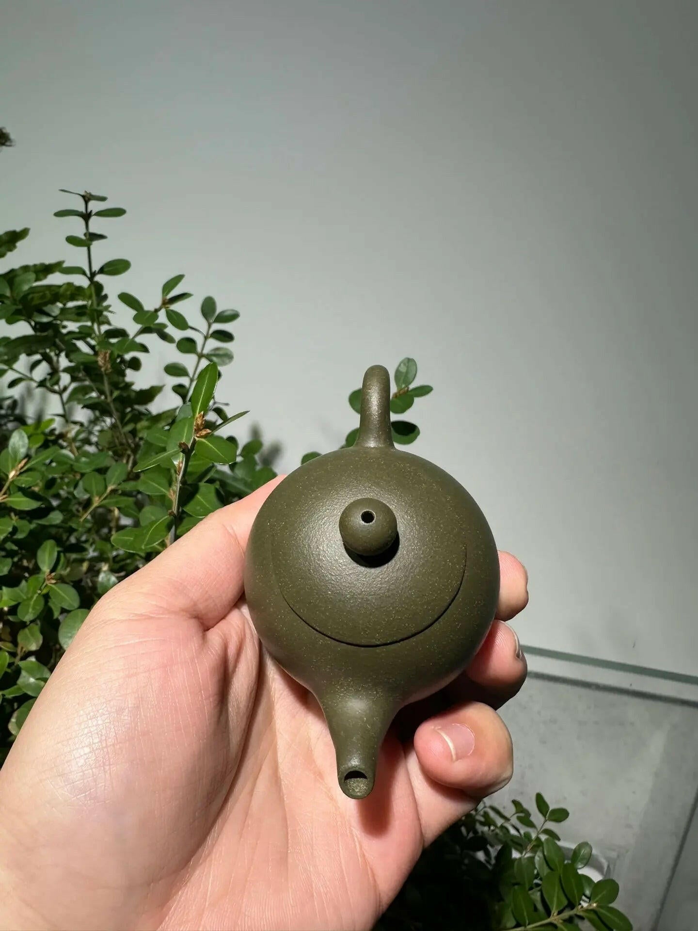 Long Dan 90cc - Yixing Handmade Teapot 江苏宜兴