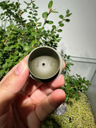 Long Dan 90cc - Yixing Handmade Teapot 江苏宜兴