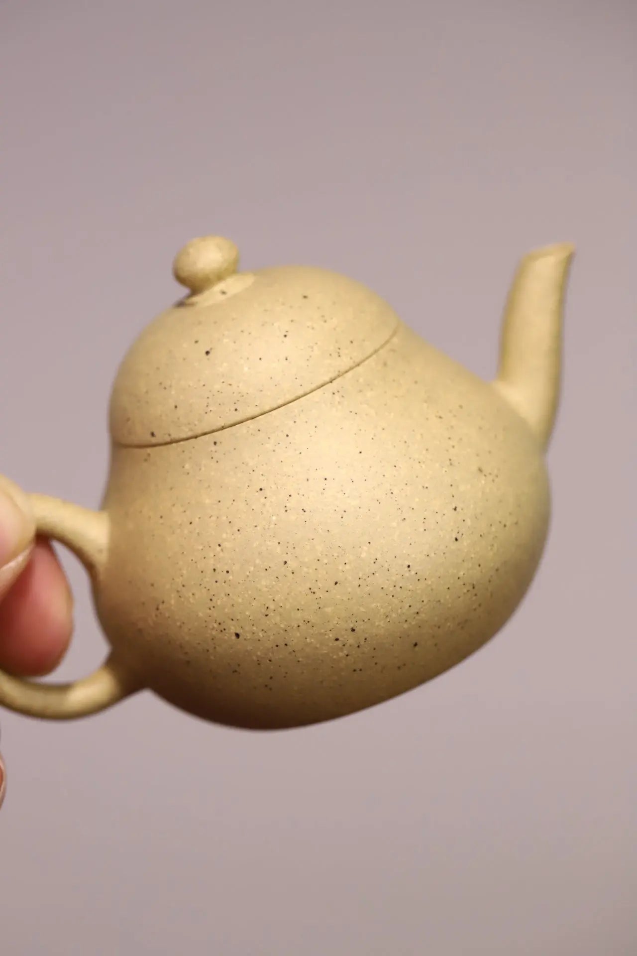 Li Shi 125cc - Yixing Handmade Teapot 江苏宜兴