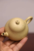 Li Shi 125cc - Yixing Handmade Teapot 江苏宜兴