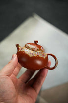 Dou Kou 100cc - Yixing Handmade Teapot 江苏宜兴