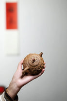 Man Bu Ren Sheng 220cc - Yixing Handmade Teapot 江苏宜兴