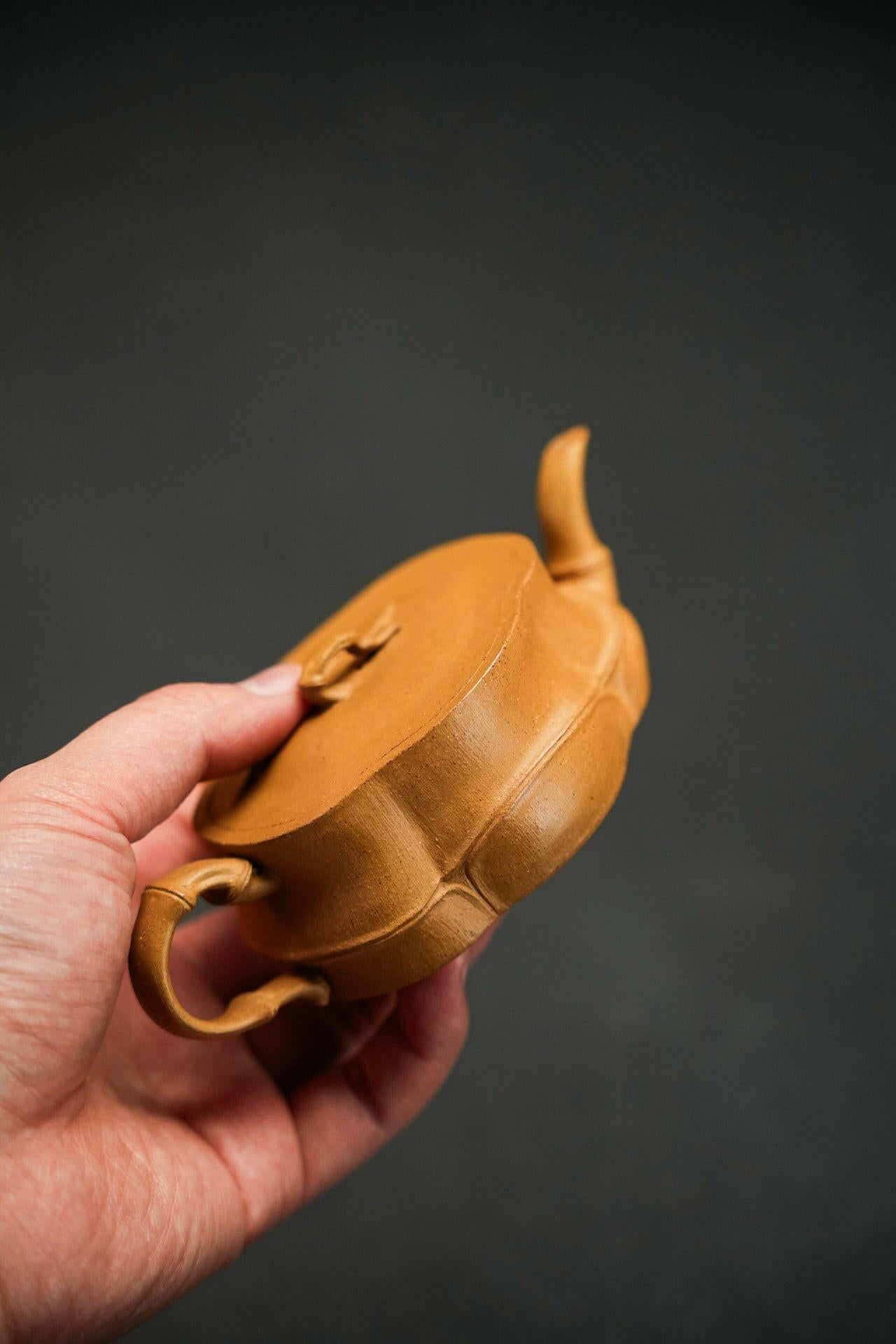 Jun Lan 150cc - Yixing Handmade Teapot 江苏宜兴