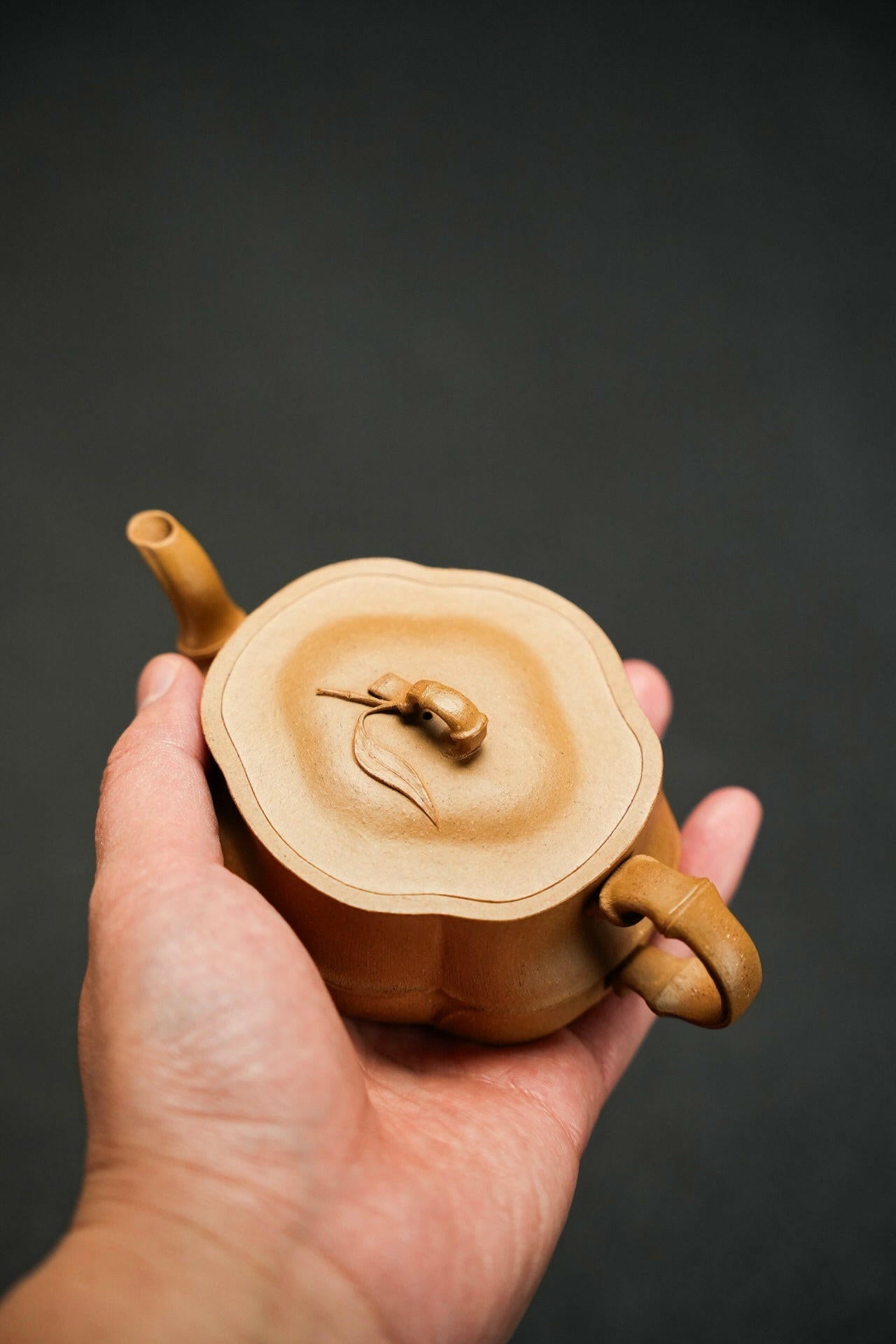 Jun Lan 150cc - Yixing Handmade Teapot 江苏宜兴
