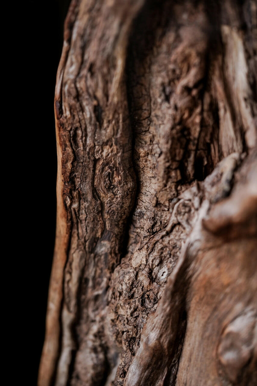 Guan Gong Xiang Lu - Wood Sculpture zycschina