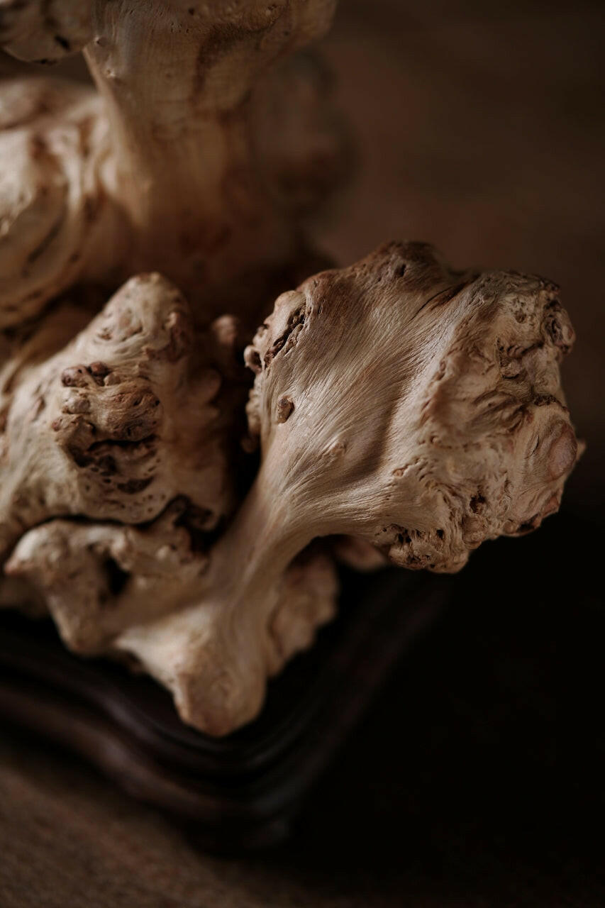 Wu Kong Xiang Lu - Wood Sculpture zycschina