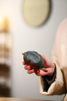 Man Bu Ren Sheng 170cc - Yixing Handmade Teapot 江苏宜兴