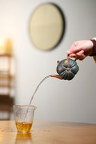 Man Bu Ren Sheng 170cc - Yixing Handmade Teapot 江苏宜兴