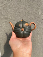 Man Bu Ren Sheng 170cc - Yixing Handmade Teapot 江苏宜兴