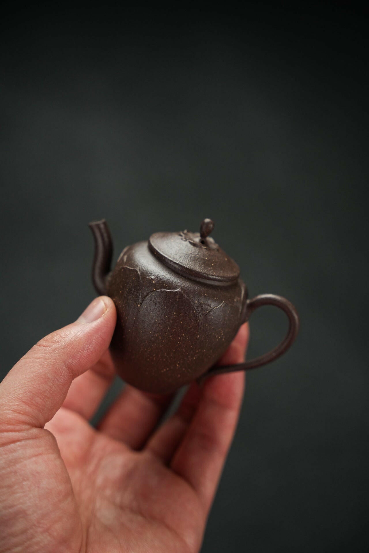 Zhi Hu 60cc - Yixing Handmade Teapot 江苏宜兴