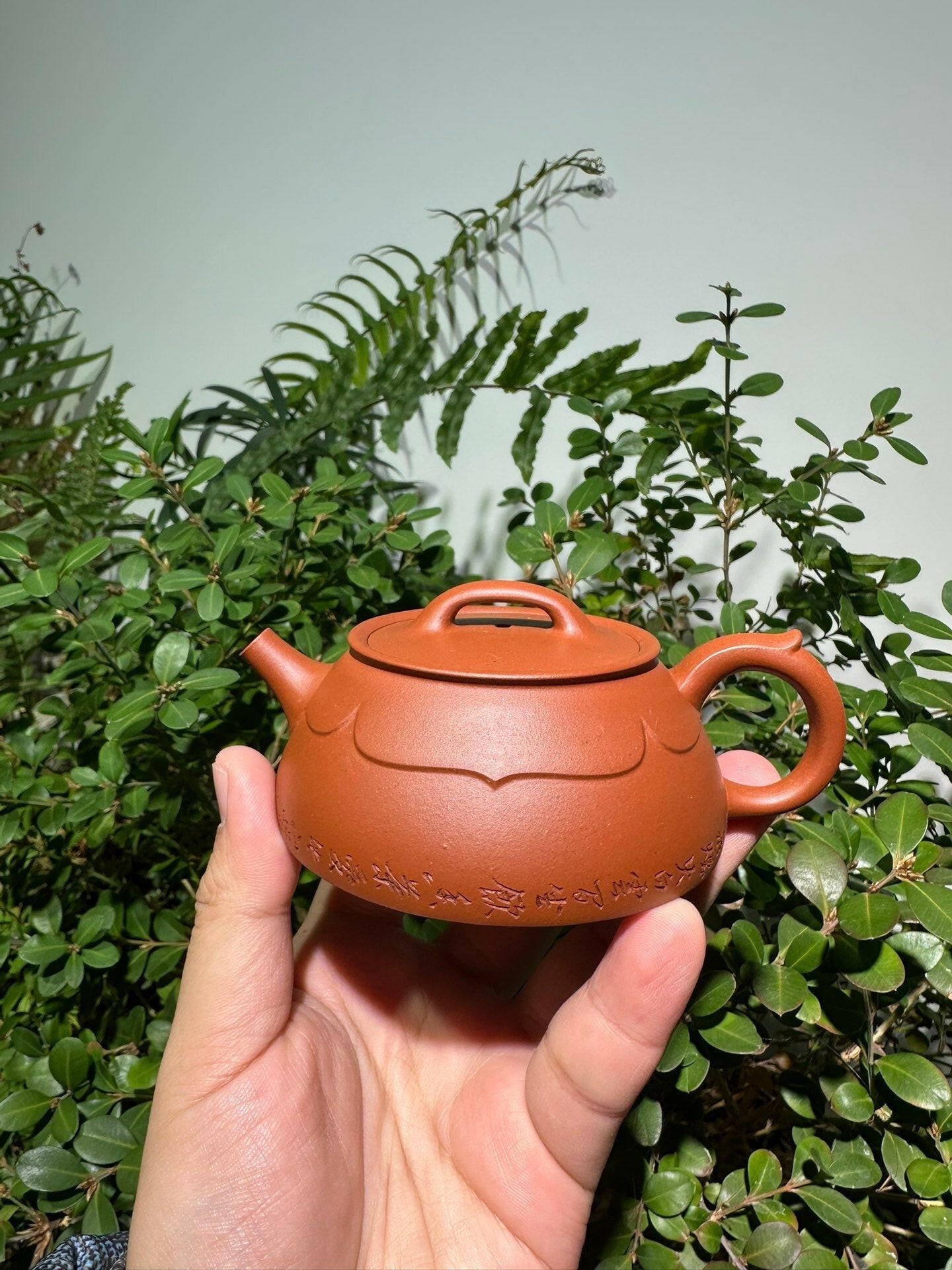 Lian Yi 125cc - Yixing Handmade Teapot 江苏宜兴