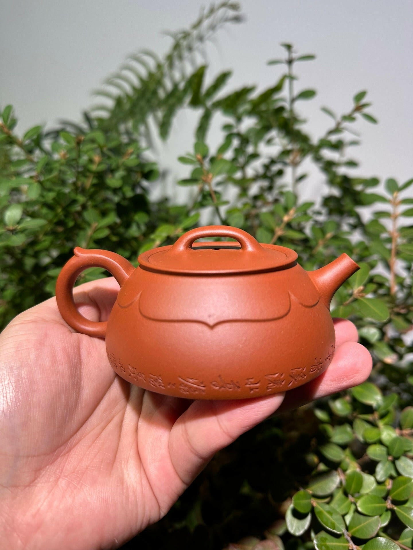 Lian Yi 125cc - Yixing Handmade Teapot 江苏宜兴