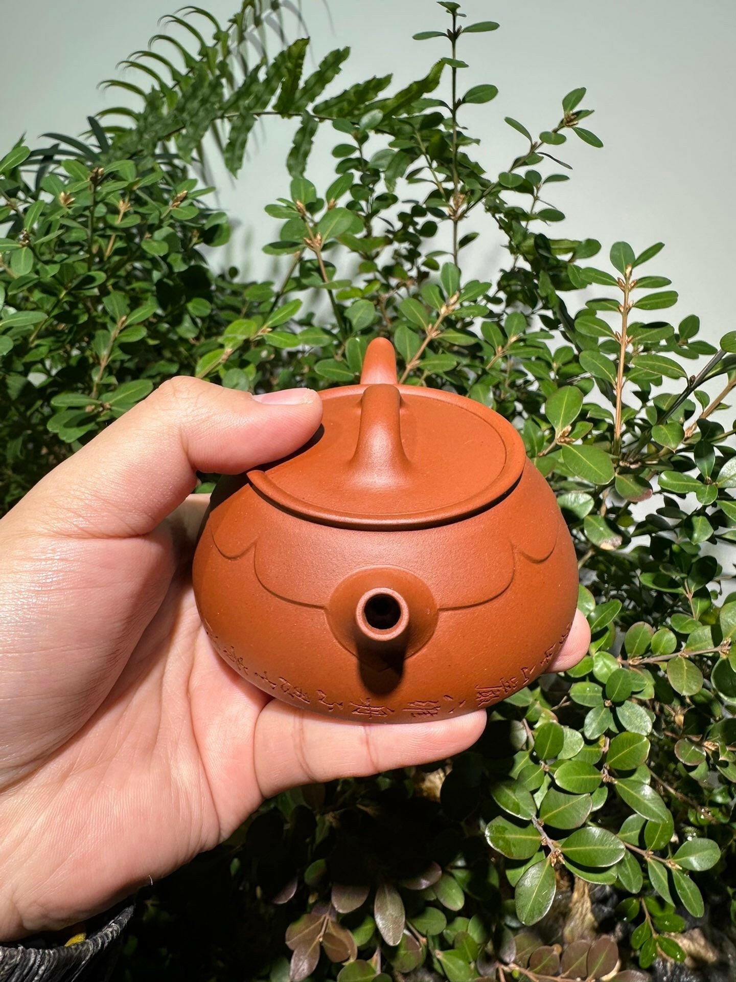 Lian Yi 125cc - Yixing Handmade Teapot 江苏宜兴