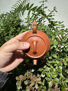 Lian Yi 125cc - Yixing Handmade Teapot 江苏宜兴