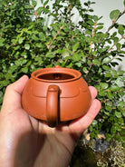 Lian Yi 125cc - Yixing Handmade Teapot 江苏宜兴
