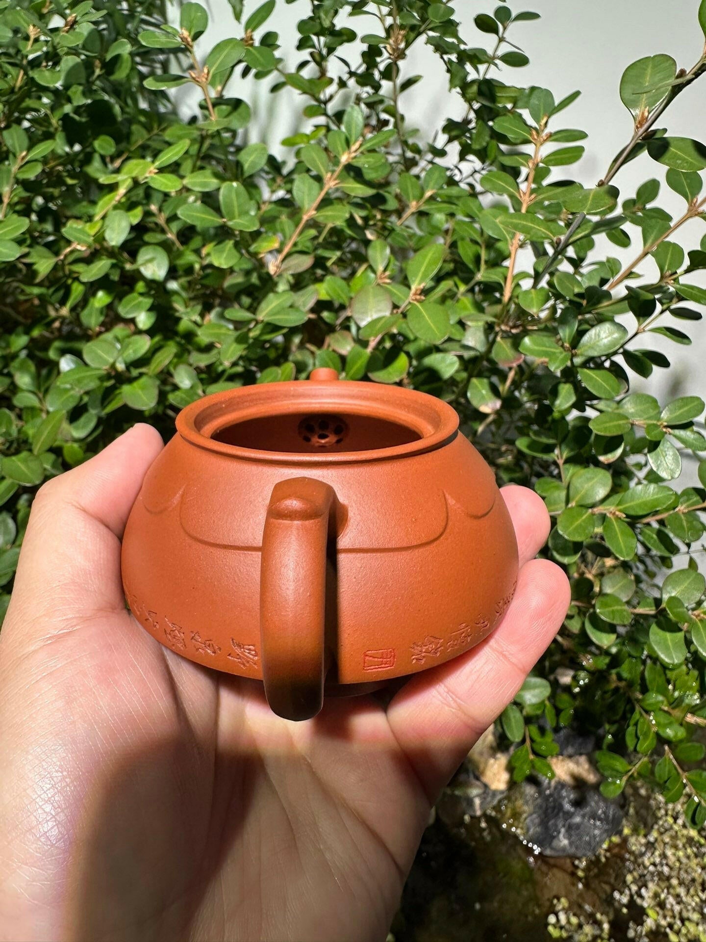 Lian Yi 125cc - Yixing Handmade Teapot 江苏宜兴