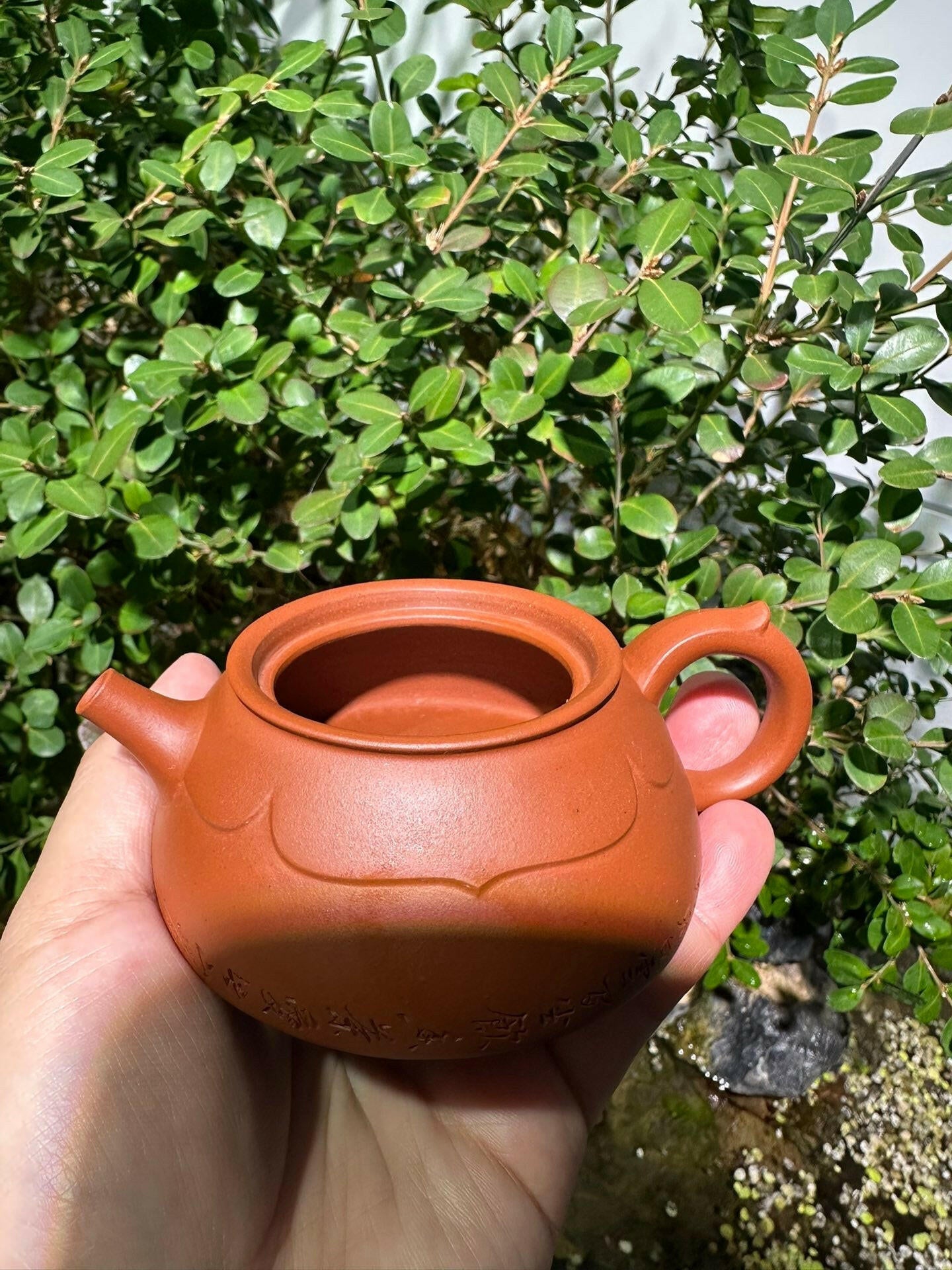 Lian Yi 125cc - Yixing Handmade Teapot 江苏宜兴