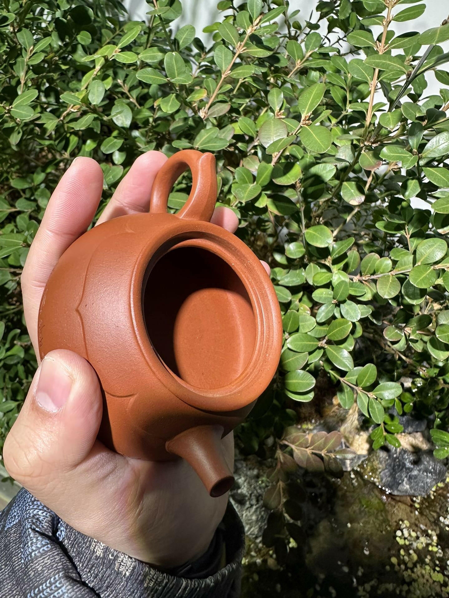 Lian Yi 125cc - Yixing Handmade Teapot 江苏宜兴