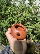 Lian Yi 125cc - Yixing Handmade Teapot 江苏宜兴