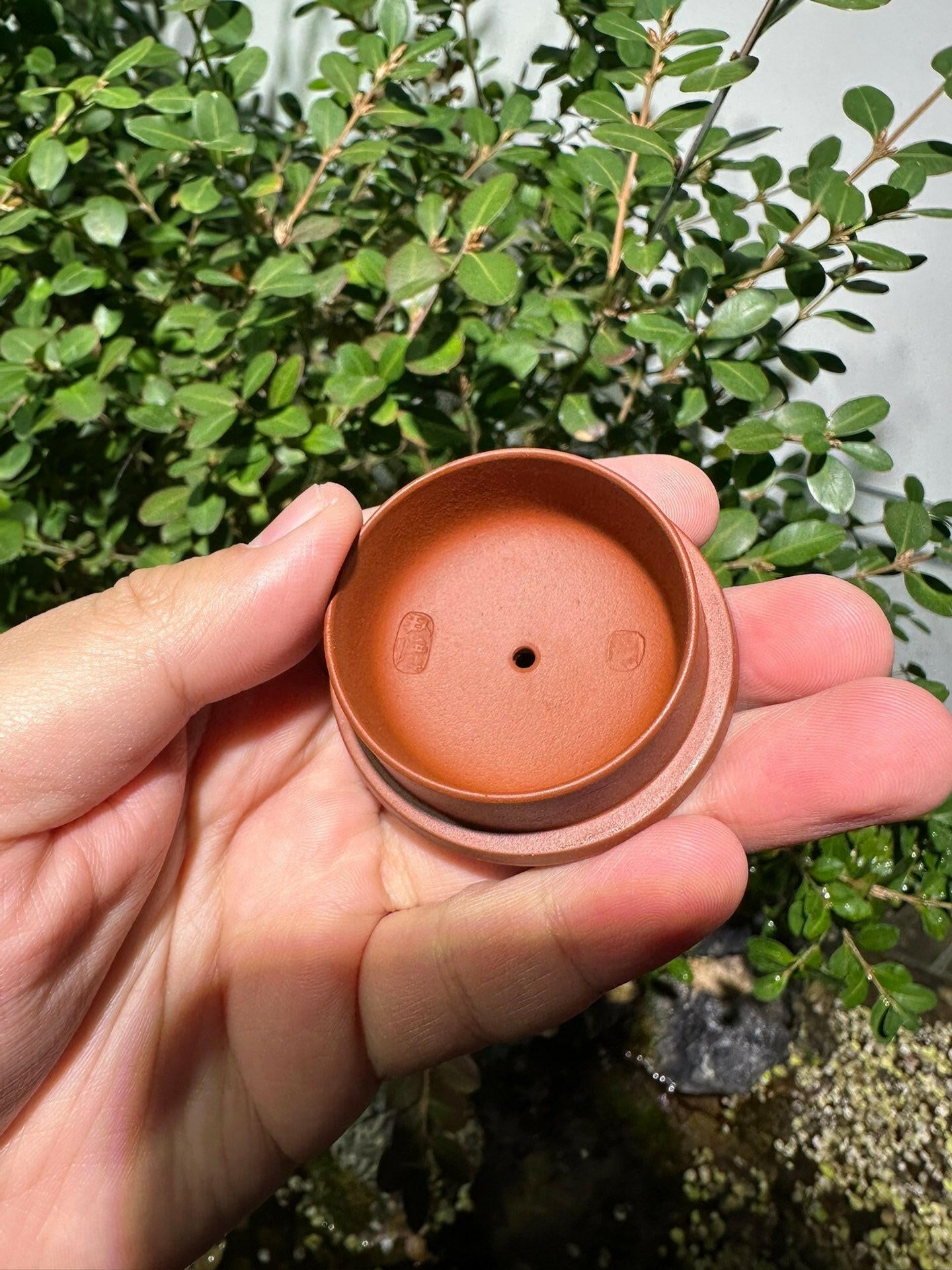 Lian Yi 125cc - Yixing Handmade Teapot 江苏宜兴