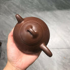 Yu Cheng Shi 200cc - Yixing Handmade Teapot 江苏宜兴