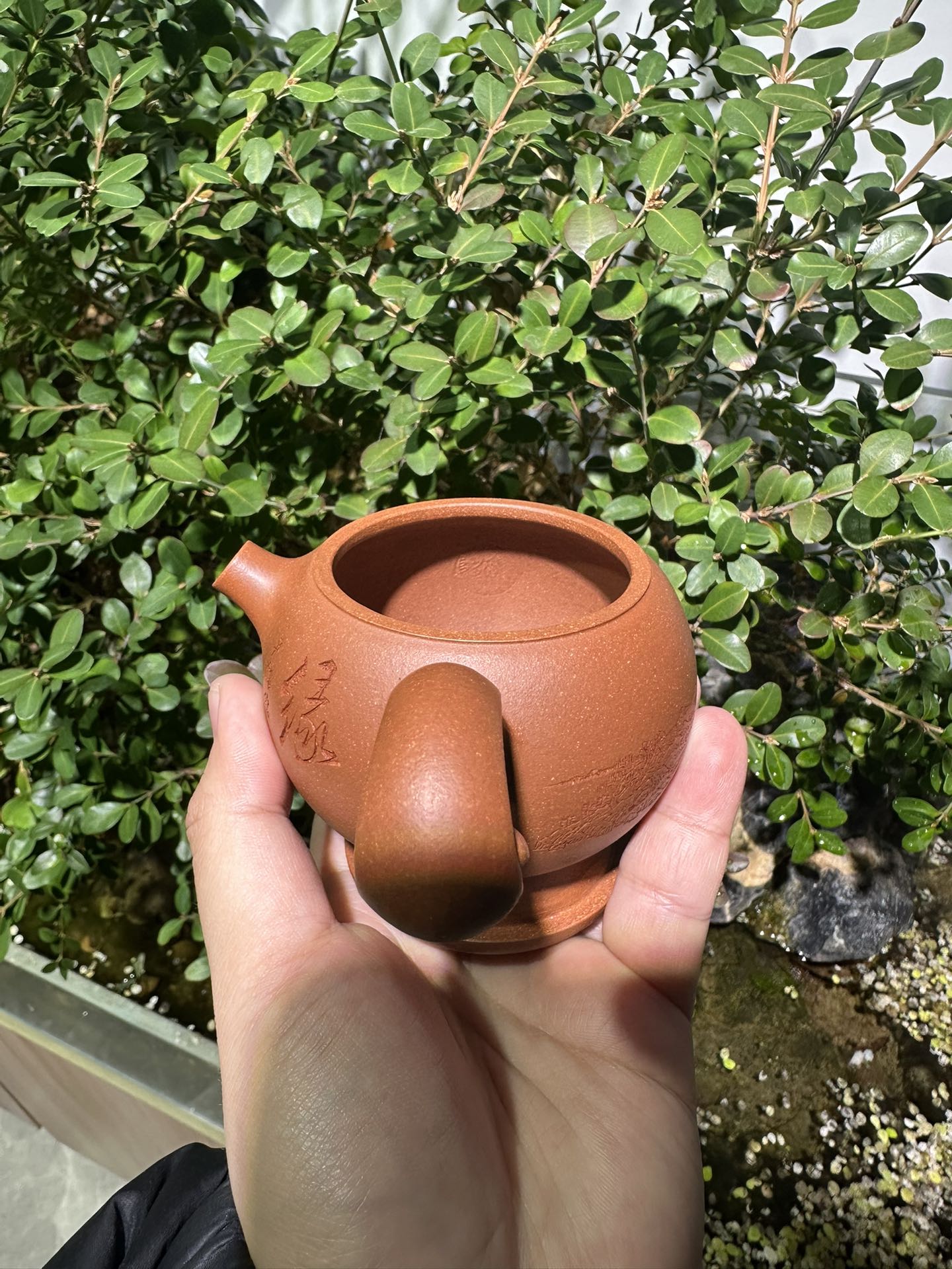 Chang Shou Tu - Yixing Handmade Teapot 江苏宜兴