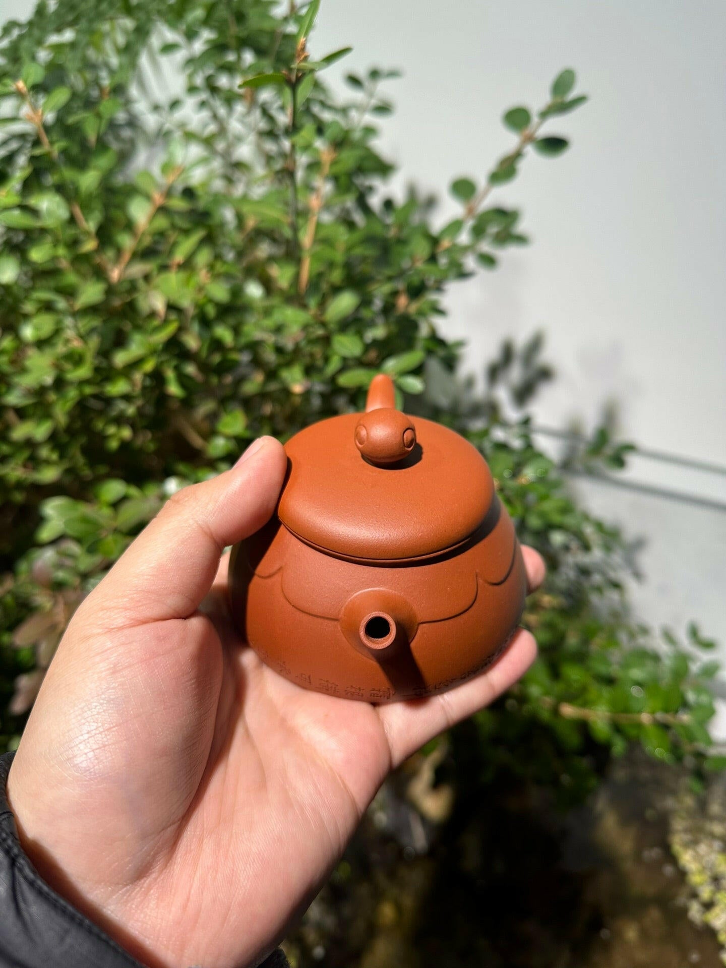 Zhuo Lian 150cc - Yixing Handmade Teapot 江苏宜兴