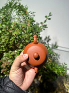 Zhuo Lian 150cc - Yixing Handmade Teapot 江苏宜兴
