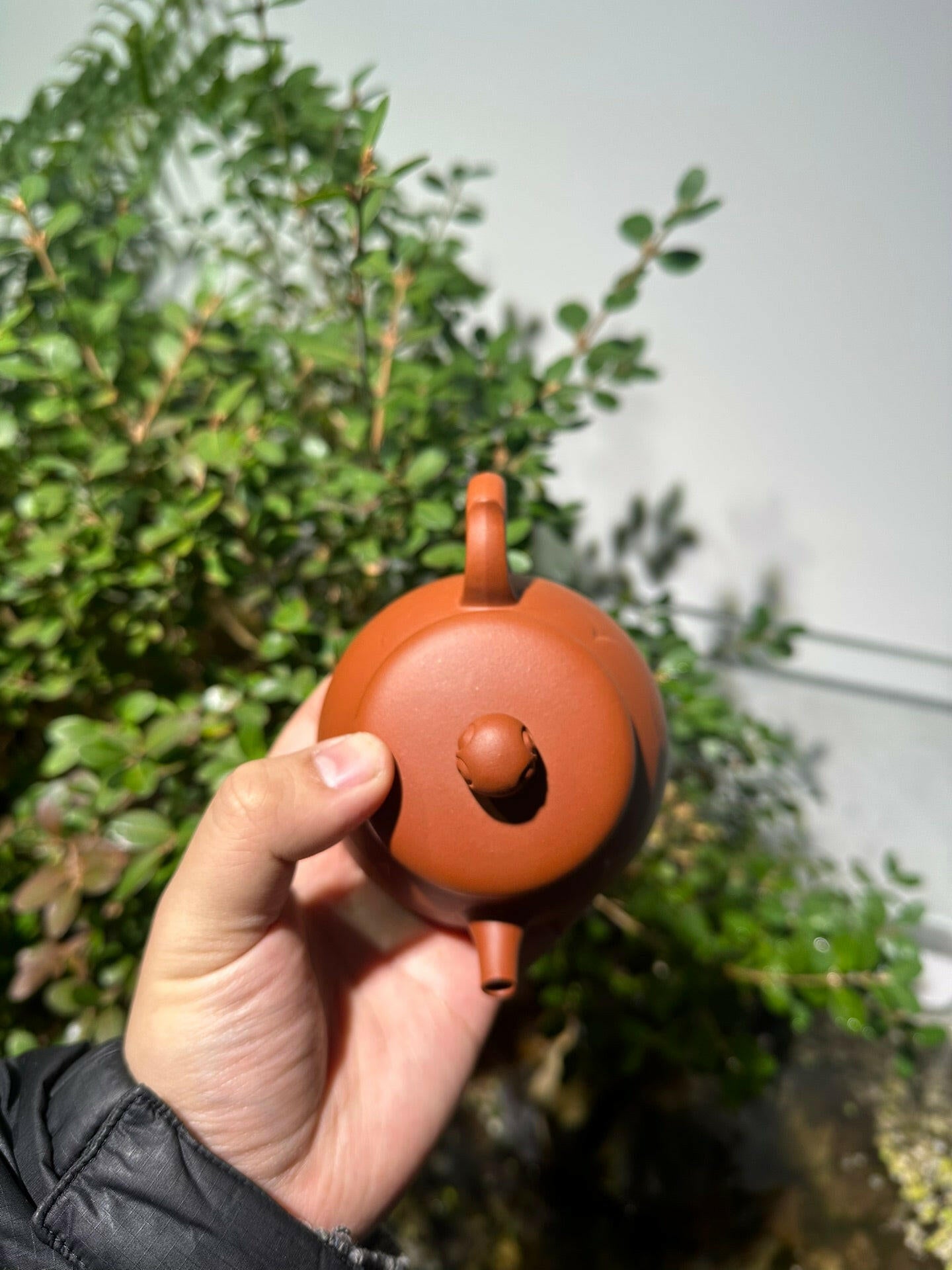 Zhuo Lian 150cc - Yixing Handmade Teapot 江苏宜兴
